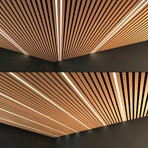wooden ceiling 3D