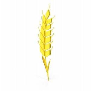 3D Wheat Spike Symbol model