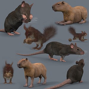 3D model Mighty Rodent Pack 8K animated