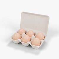 Open Pulp Egg Carton with Six Brown Eggs