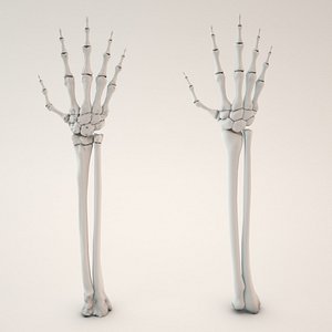 Skeletal Hand