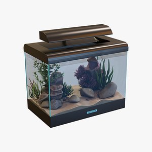 3D Fish Tank with mosses stones and corals model