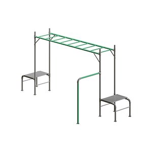 3D JUNIOR JUNGLE MONKEY BAR MODULE - LIFESPAN KIDS model