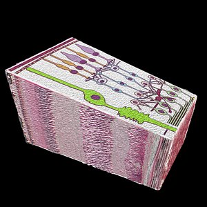 Retinal layers detail microscopic and schematic