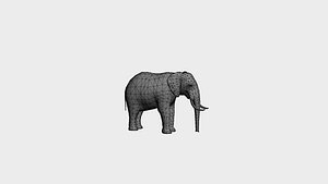 3D Low Poly Elephant