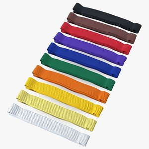 3D model Martial Arts Belt Set
