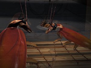 cockroach crunch 3d model