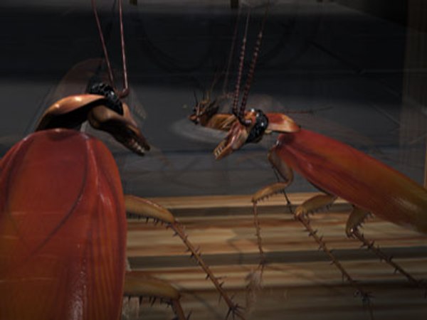 cockroach crunch 3d model