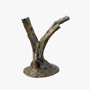3D Anydrafts Olea europaea Trunk 09