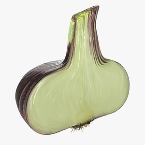 3D model red onion half