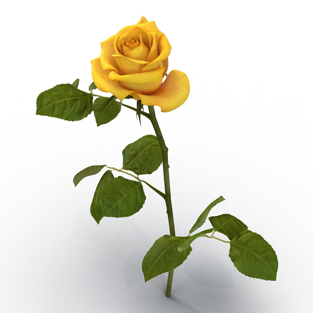 rose yellow 3d 3ds