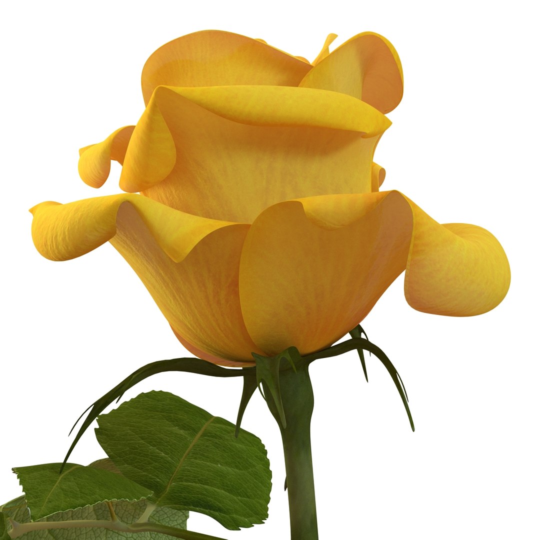 rose yellow 3d 3ds
