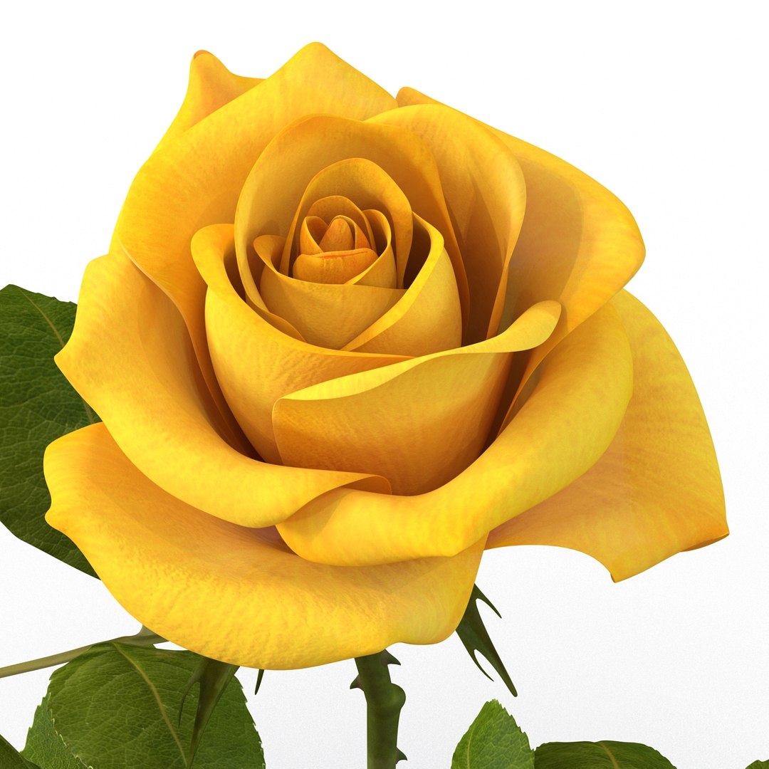 rose yellow 3d 3ds