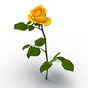 Rose Yellow 3D Model