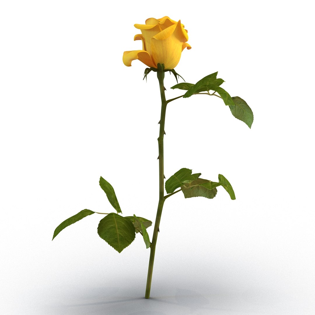 rose yellow 3d 3ds