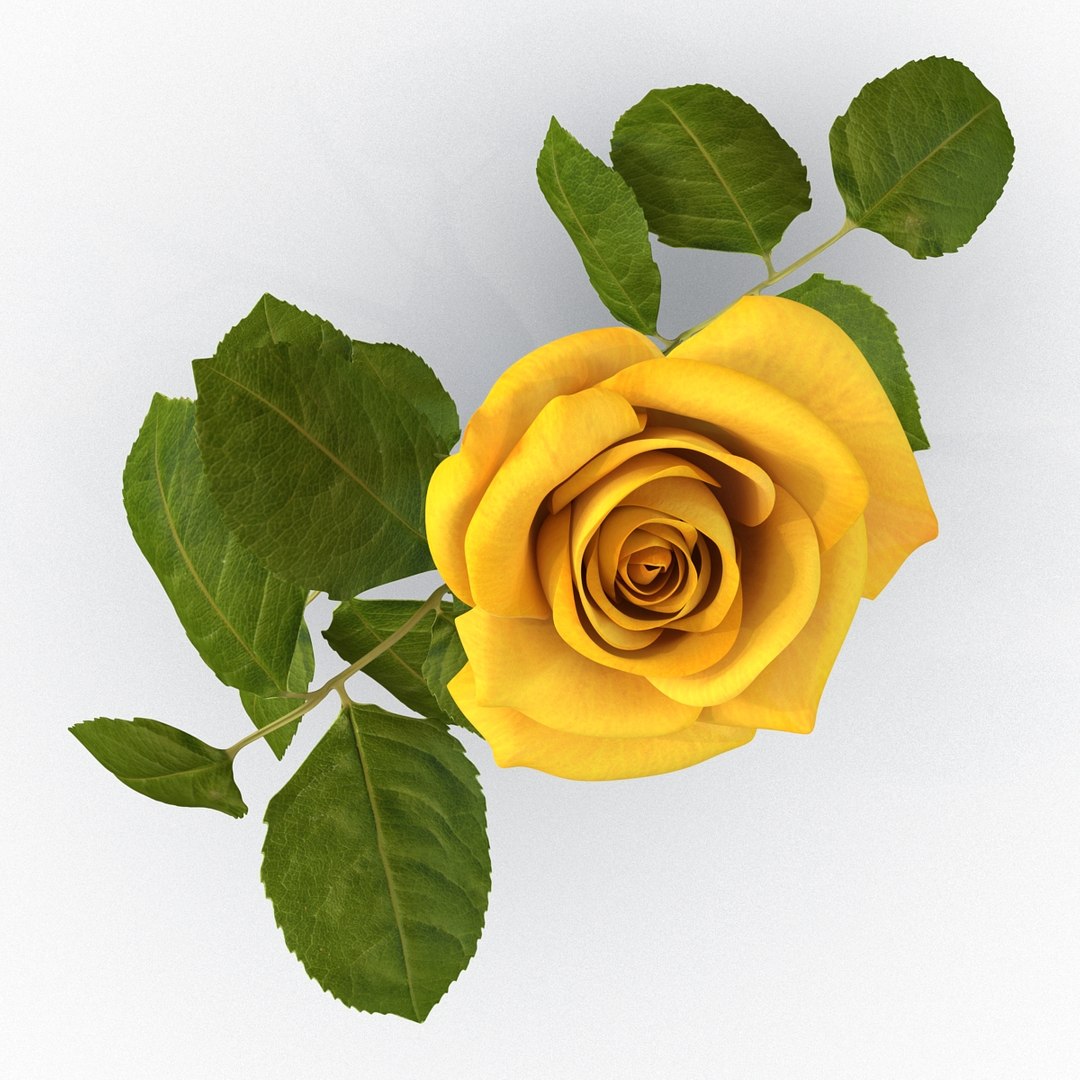 rose yellow 3d 3ds