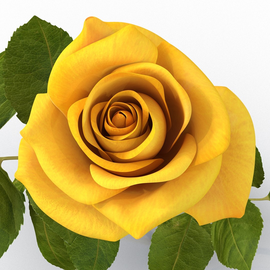 rose yellow 3d 3ds