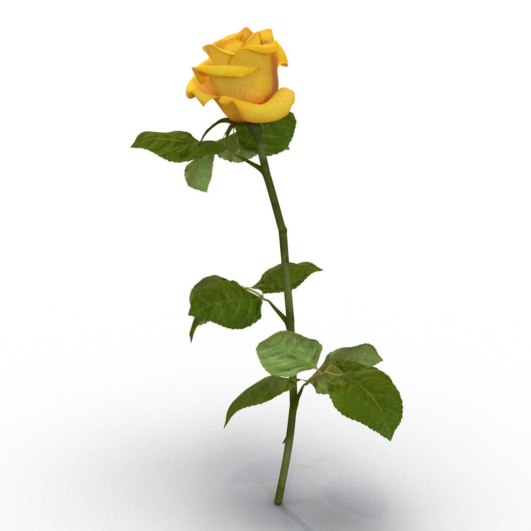 rose yellow 3d 3ds