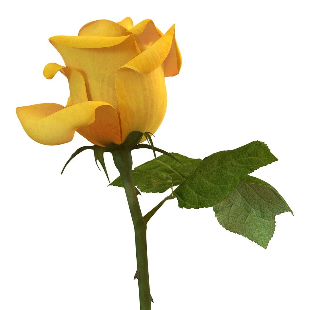rose yellow 3d 3ds