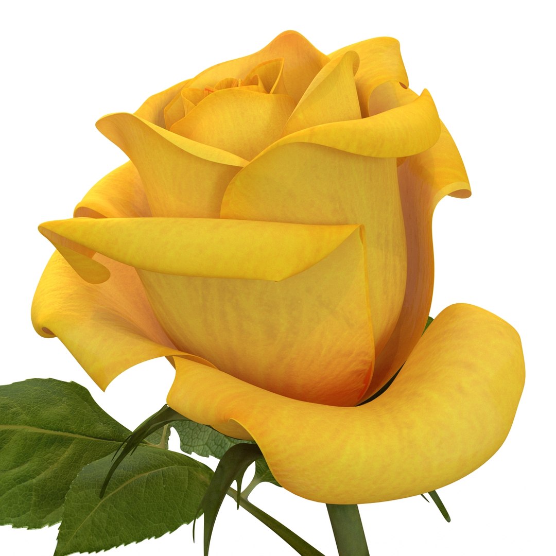 rose yellow 3d 3ds
