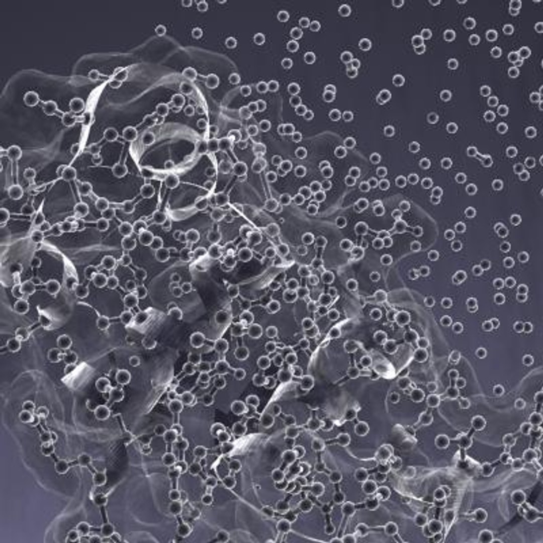 insulin body cells 3d model https://p.turbosquid.com/ts-thumb/fs/sI9ohM/SyuwTDD7/insulin2/jpg/1277333289/1920x1080/fit_q87/f20dab5785f5e7c532d23a92faf062e961abe4a4/insulin2.jpg