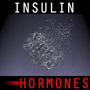 insulin body cells 3d model
