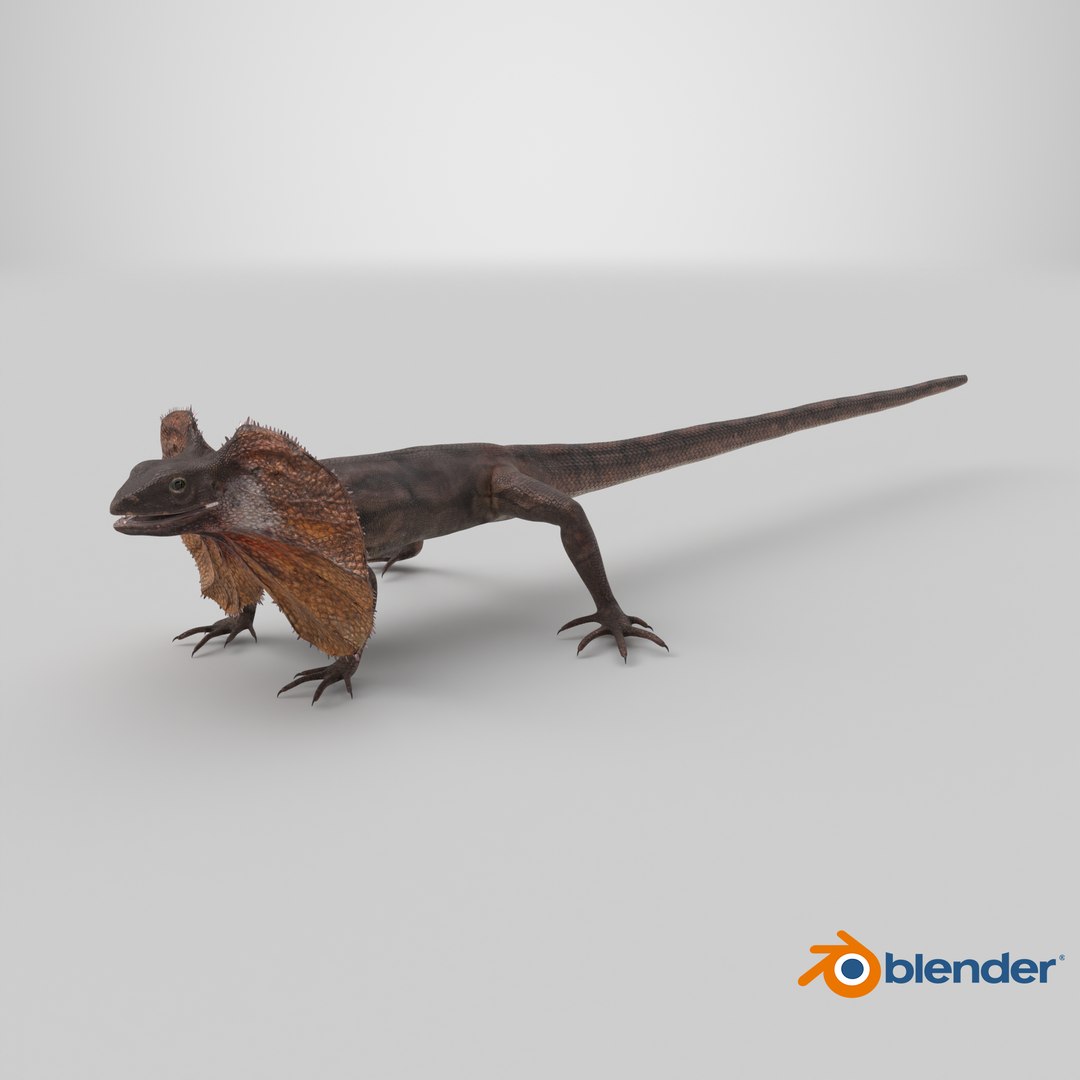 Frilled Lizard 3D model https://p.turbosquid.com/ts-thumb/ft/gLP3oz/bY/stemcell_blender_cycles_render/png/1723105529/1920x1080/fit_q87/22d4b78b354026034f914abf43f7ca413b624709/stemcell_blender_cycles_render.jpg