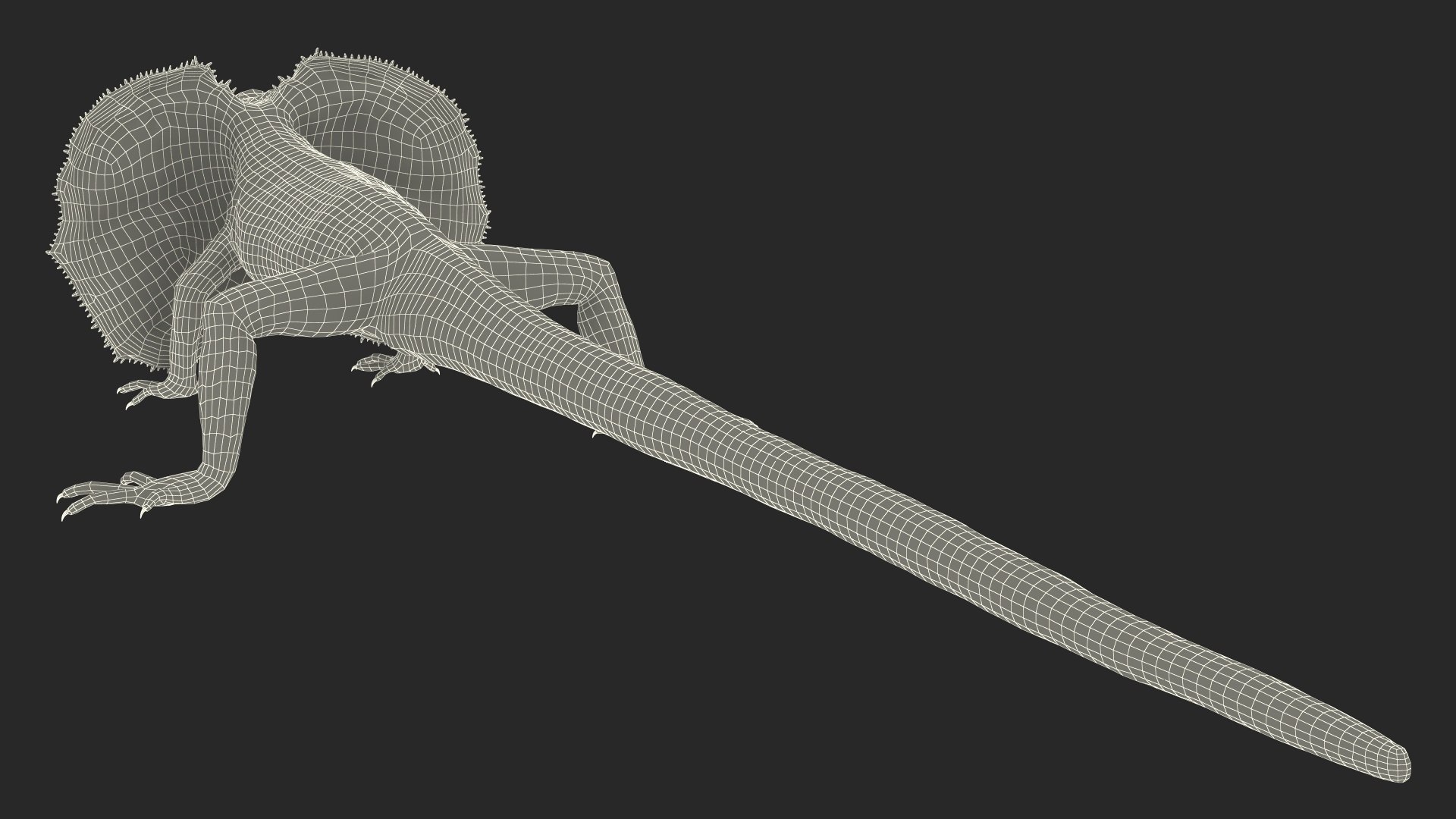 Frilled Lizard 3D model https://p.turbosquid.com/ts-thumb/ft/gLP3oz/bs/frilledlizardmb3dmodel019/jpg/1721757133/1920x1080/fit_q87/02f89e7ed2e0d6067e767039469d10f2713c34ec/frilledlizardmb3dmodel019.jpg