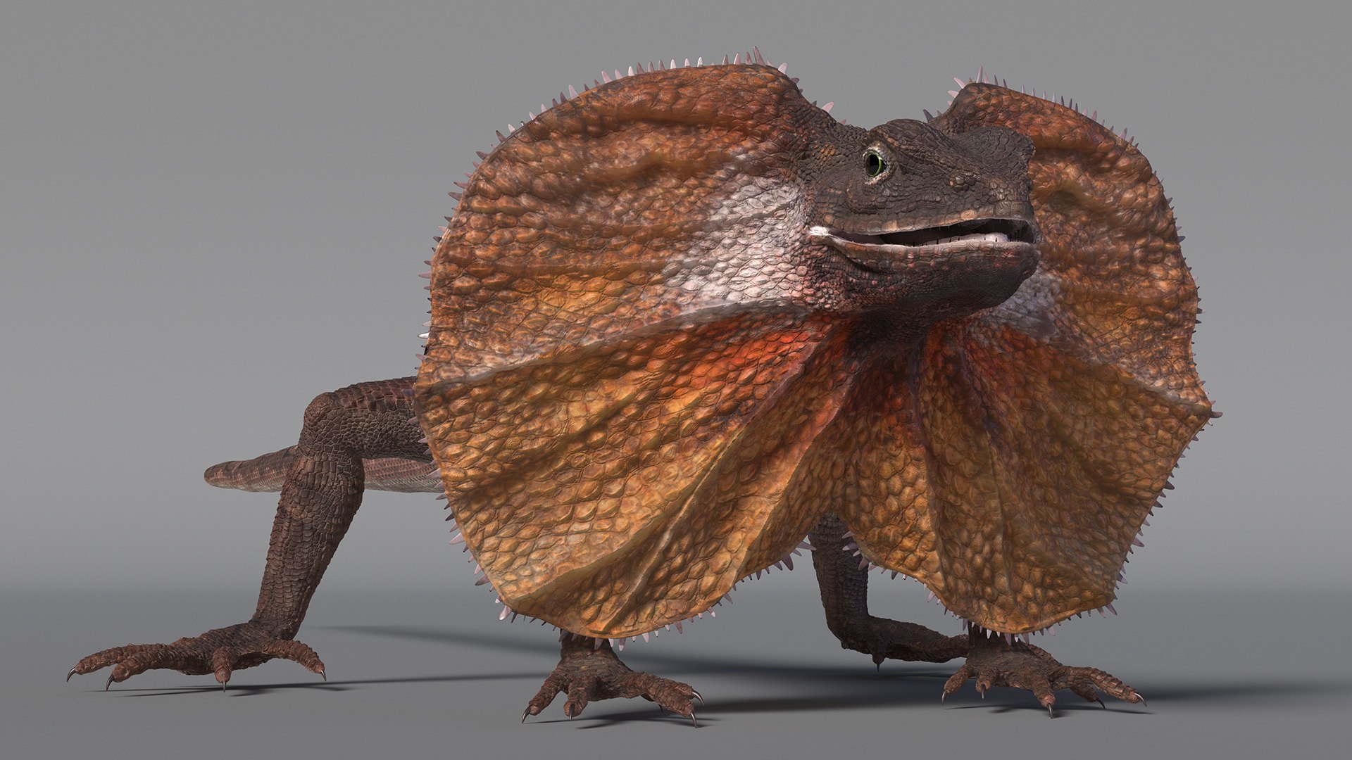 Frilled Lizard 3D model https://p.turbosquid.com/ts-thumb/ft/gLP3oz/cw/frilledlizardmb3dmodel005/jpg/1721757070/1920x1080/fit_q87/2b75f769e65209000c9a134a91a62544ae04e57f/frilledlizardmb3dmodel005.jpg