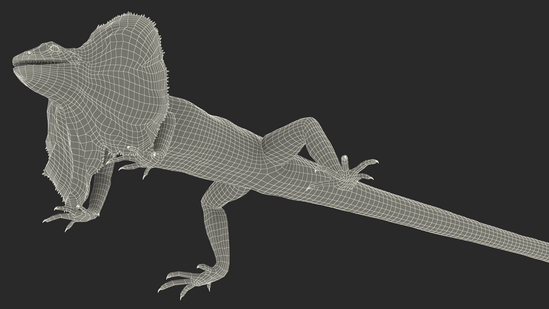 Frilled Lizard 3D model https://p.turbosquid.com/ts-thumb/ft/gLP3oz/fT/frilled_lizard_022/jpg/1721803933/1920x1080/fit_q87/ee63c13e2d16ea430d951f9716e7d0041c799310/frilled_lizard_022.jpg