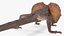 Frilled Lizard 3D model