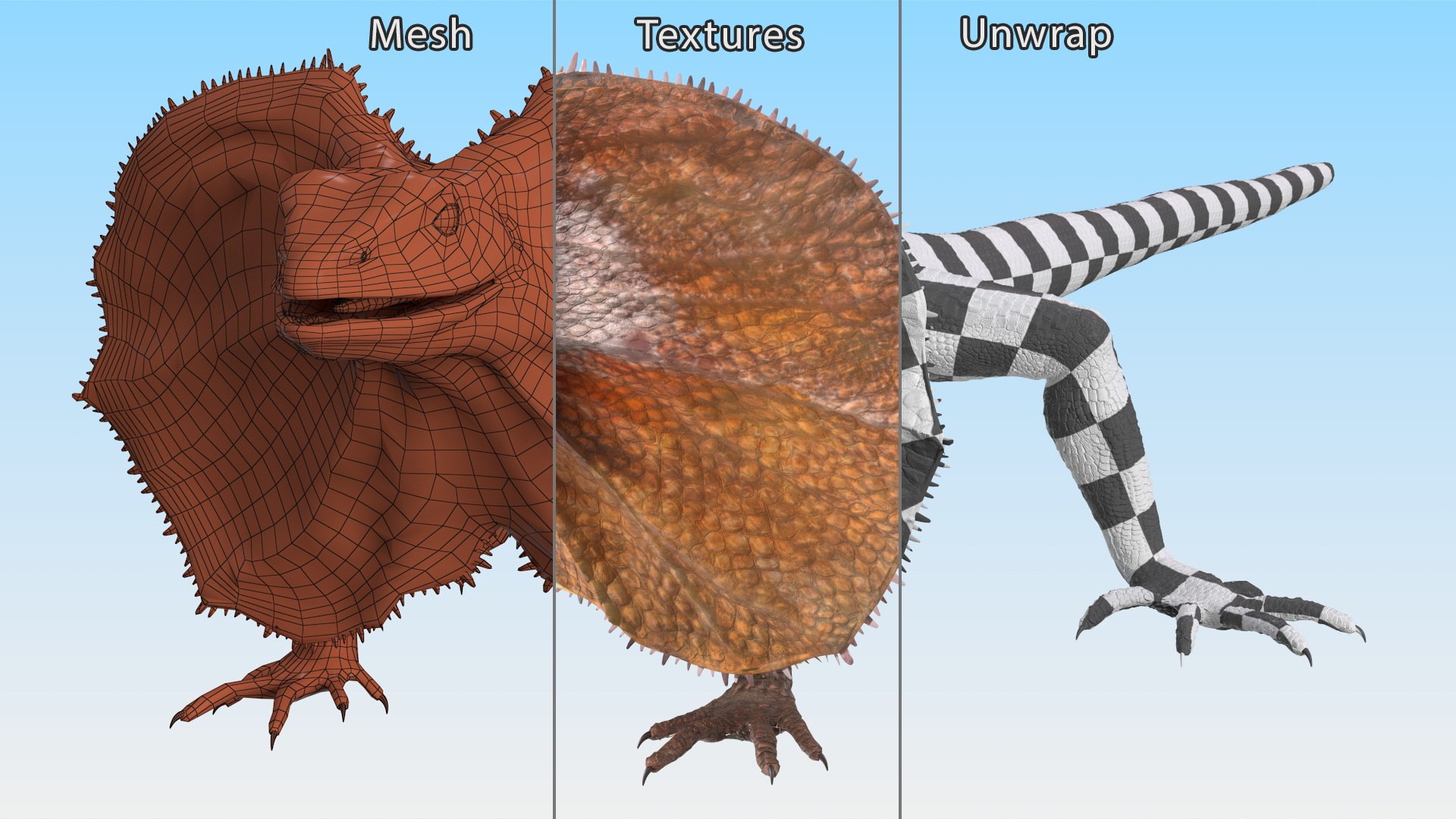 Frilled Lizard 3D model https://p.turbosquid.com/ts-thumb/ft/gLP3oz/n1/frilledlizardmb3dmodel012/jpg/1721757098/1920x1080/fit_q87/495f6969c51f5c503ee4947d7e42839549bfa536/frilledlizardmb3dmodel012.jpg
