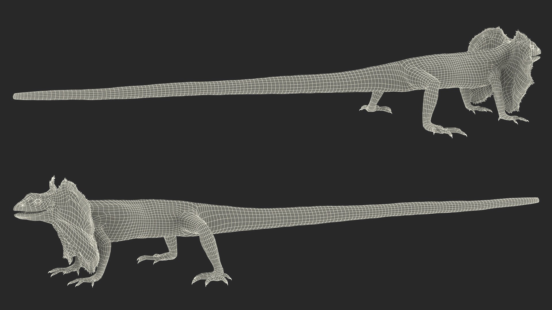 Frilled Lizard 3D model https://p.turbosquid.com/ts-thumb/ft/gLP3oz/qJ/frilled_lizard_021/jpg/1721803933/1920x1080/fit_q87/1ef153a8e32b2062080ed7f33a66e8f1134b2246/frilled_lizard_021.jpg