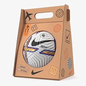 3D model Packed Premier League 2022-23 Nike Flight Match Ball
