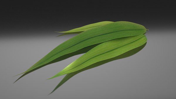 bamboo leaf food model