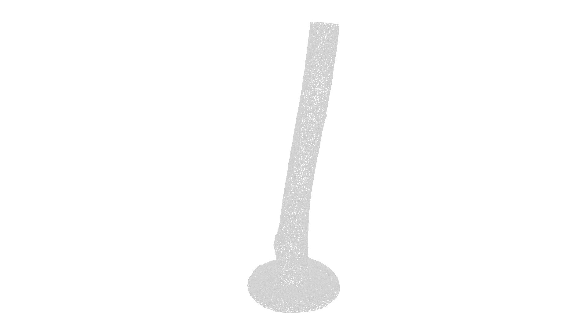 3D Anydrafts Cinnamomum bodinieri Trunk 03 3d model https://p.turbosquid.com/ts-thumb/fu/67hewH/tz/ad_cinnamomum_bodinieri_trunk_03_8k_render_3d_maincamera2_wireframe_00001/png/1746617330/1920x1080/fit_q87/fb0aa4d3e4ea1dc8c9fca8757b8b9ad42334909e/ad_cinnamomum_bodinieri_trunk_03_8k_render_3d_maincamera2_wireframe_00001.jpg