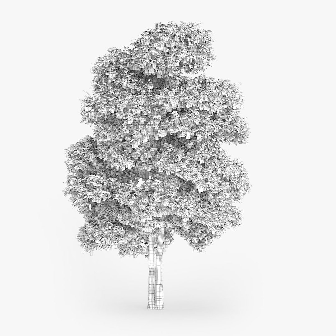 downy birch 11 1m 3d model https://p.turbosquid.com/ts-thumb/fu/BYnCps/gKUUhZ7K/1504/jpg/1442552064/1920x1080/fit_q87/d21b99b438bc6c14a26ea3c15a6fd3c8d4c247d8/1504.jpg