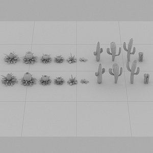 3d model cactus forest