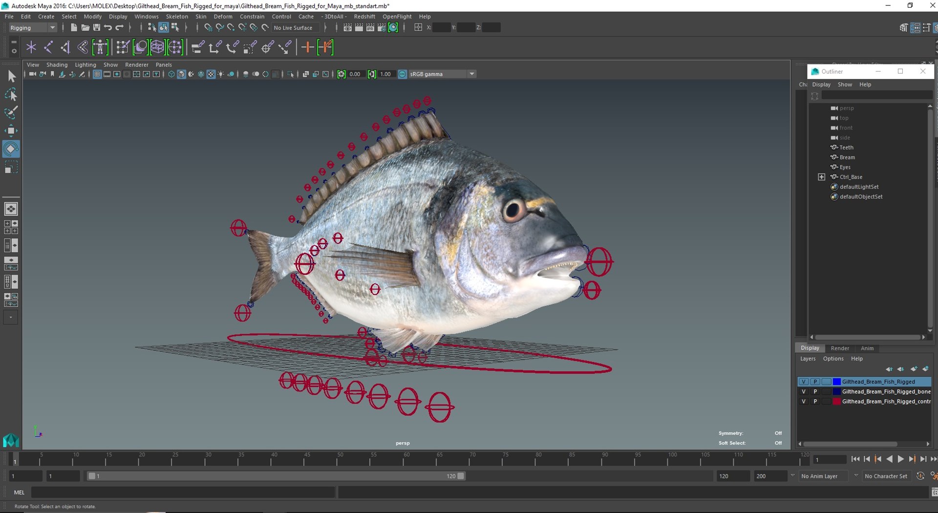 Gilthead Bream Fish Rigged for Maya 3D model - TurboSquid 2178558
