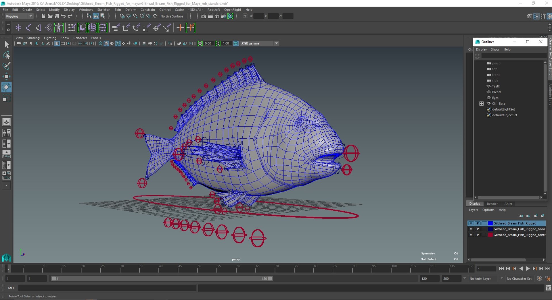 Gilthead Bream Fish Rigged for Maya 3D model - TurboSquid 2178558