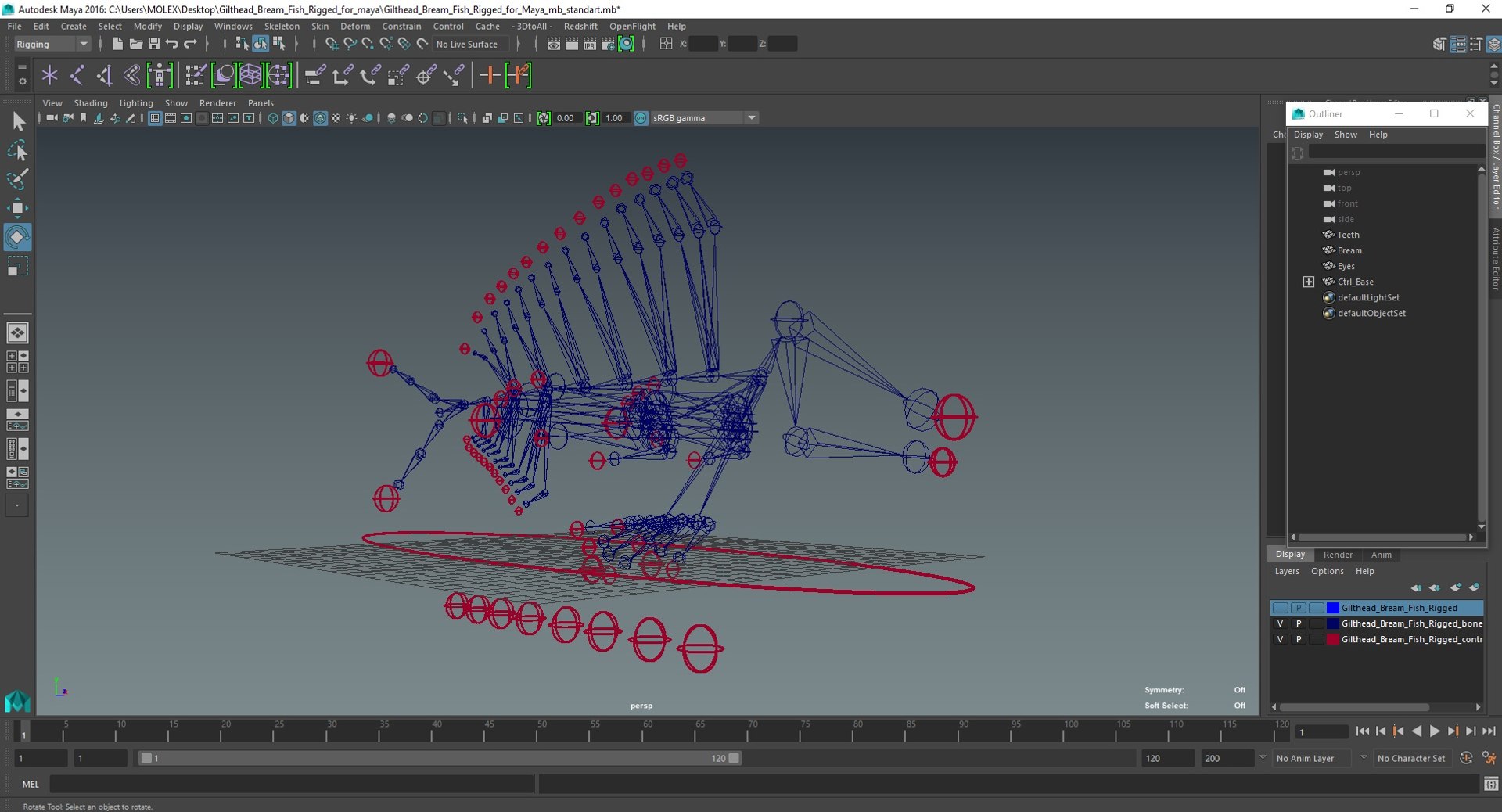 Gilthead Bream Fish Rigged for Maya 3D model - TurboSquid 2178558