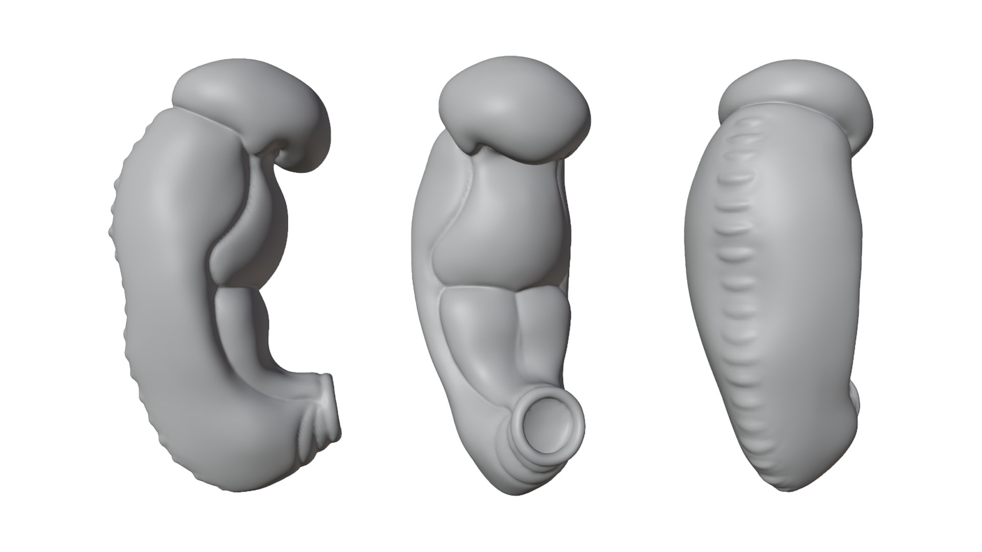 3 Weeks Human Embryonic Baby Stages Model - TurboSquid 2036029