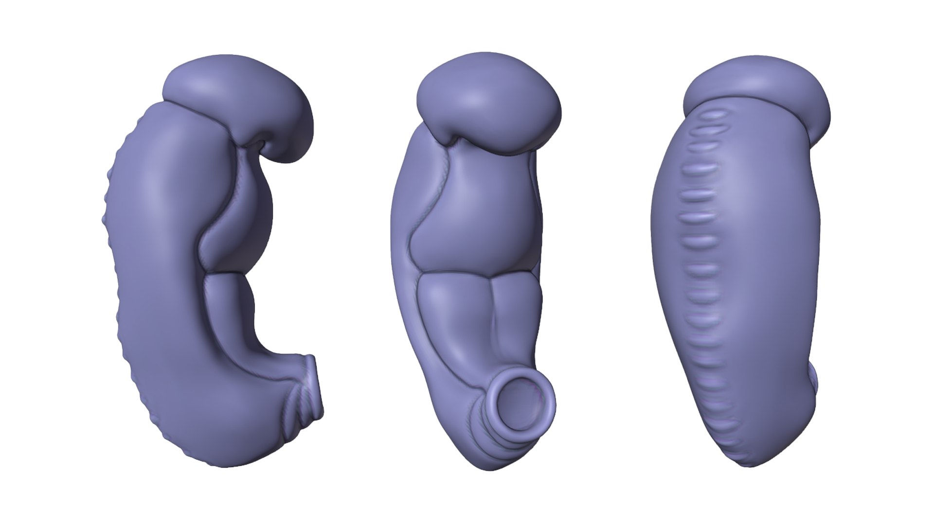 3 Weeks Human Embryonic Baby Stages Model - TurboSquid 2036029