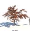 Ensemble d'appartements 6v2 73 arbres