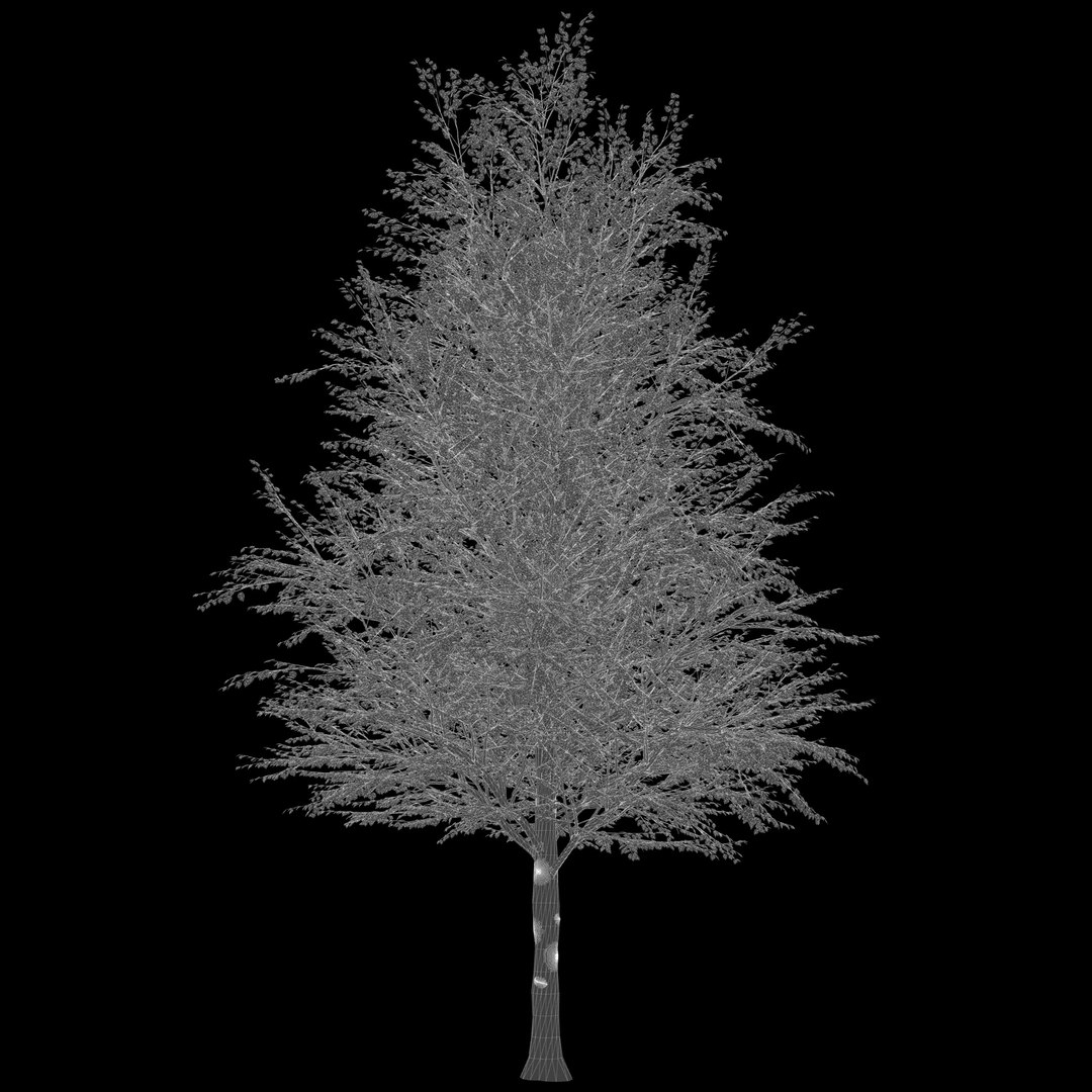 ApartmentSet6v2 73trees model https://p.turbosquid.com/ts-thumb/fu/M7sWha/KJ/katsura_tan_8000_b_spr.vrayextratex_wireframe.0000/jpg/1776158489/1920x1080/fit_q87/32619fe8ea24bc8a1c66baba7af60bd5ca04d41c/katsura_tan_8000_b_spr.vrayextratex_wireframe.0000.jpg