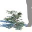 Ensemble d'appartements 6v2 73 arbres