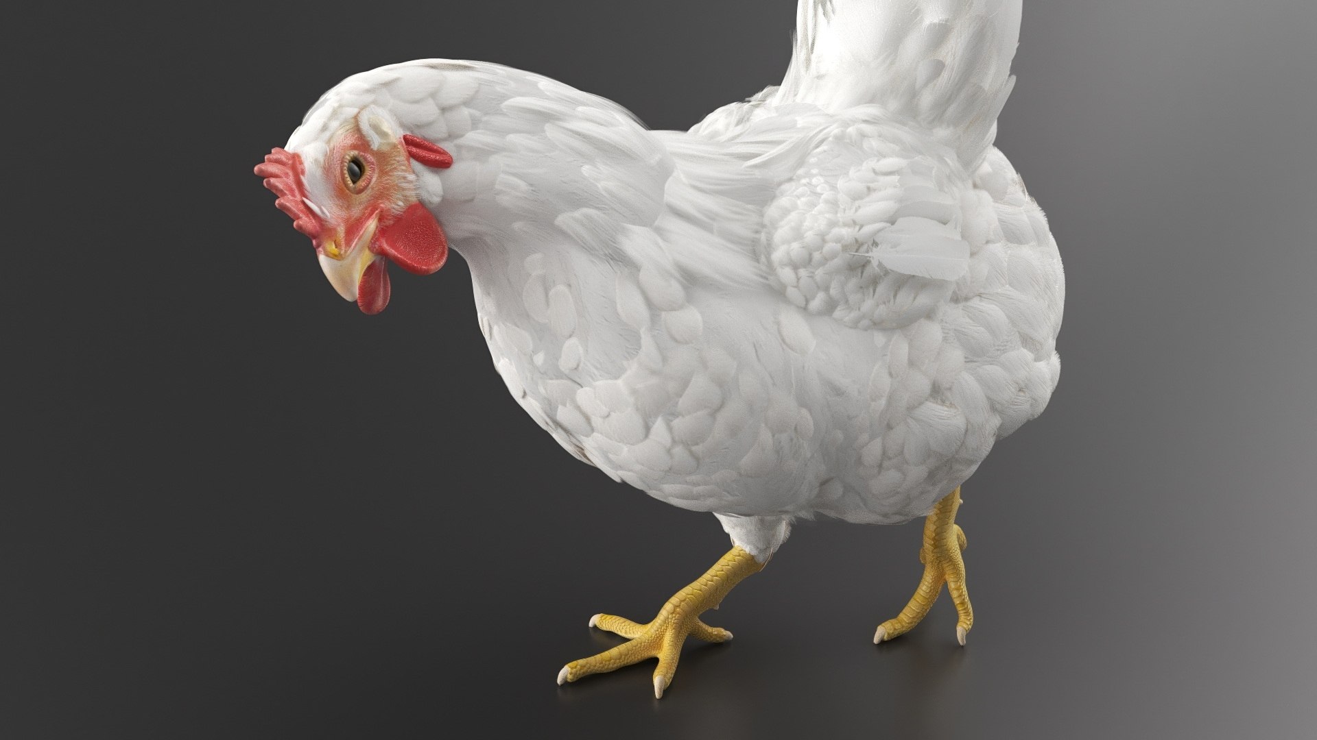 Chicken Walking Animated Rigged for Maya model https://p.turbosquid.com/ts-thumb/fu/O0Ced7/w7/chicken_walking_animated_rigged_for_maya_007/jpg/1764633643/1920x1080/fit_q87/7c27fc1933f2082168b408fee6ad531d3ccfc9c8/chicken_walking_animated_rigged_for_maya_007.jpg