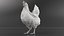 Chicken Walking Animated Rigged for Maya