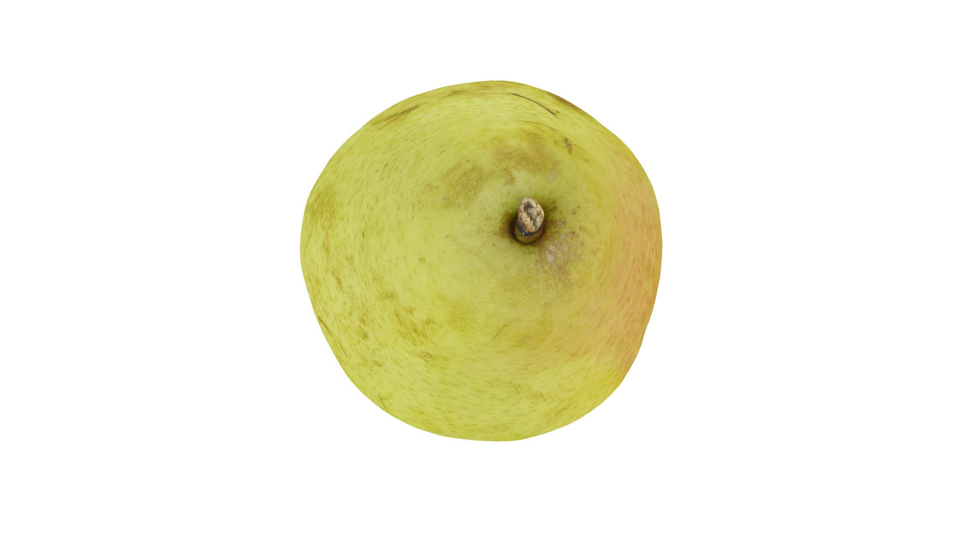 - diffuse photogrammetry 3D https://p.turbosquid.com/ts-thumb/fu/O17I3S/7fxSbgc8/pear_5/jpg/1555311985/1920x1080/fit_q87/f93944a8648006d848853e7e3a3dbdad308f41c9/pear_5.jpg
