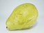 Realistic - Pear